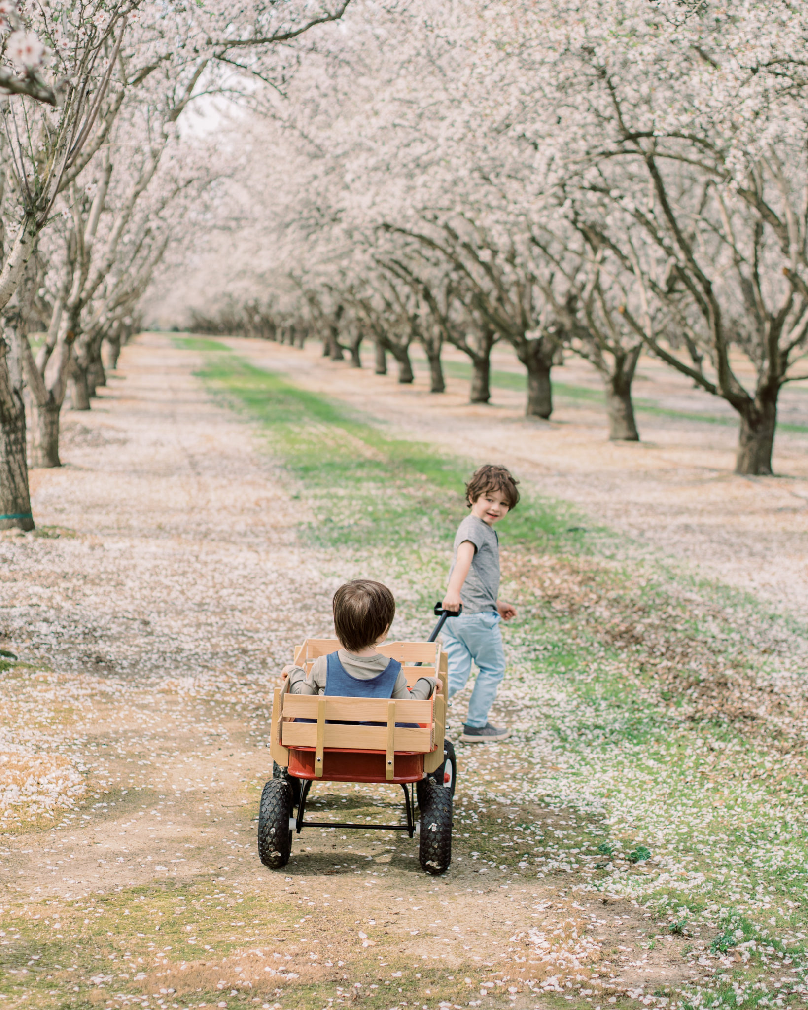 Almond Orchard Photoshoot |Sacramento Family Photographer - kelliseeley.com